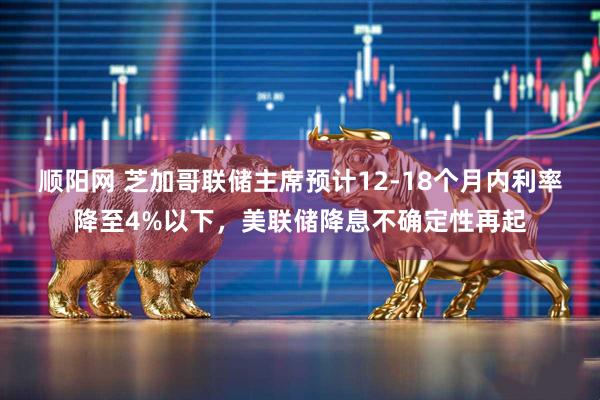 顺阳网 芝加哥联储主席预计12-18个月内利率降至4%以下，美联储降息不确定性再起
