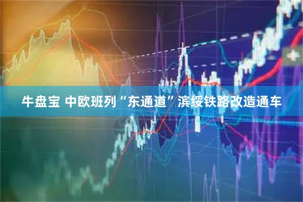 牛盘宝 中欧班列“东通道”滨绥铁路改造通车