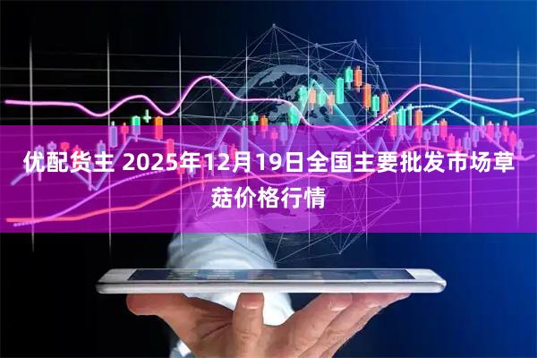 优配货主 2025年12月19日全国主要批发市场草菇价格行情